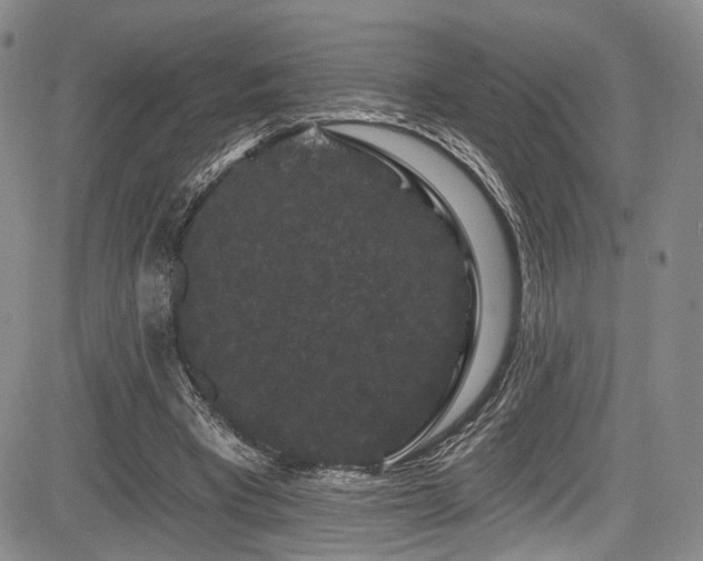 X0000084050393200702161512