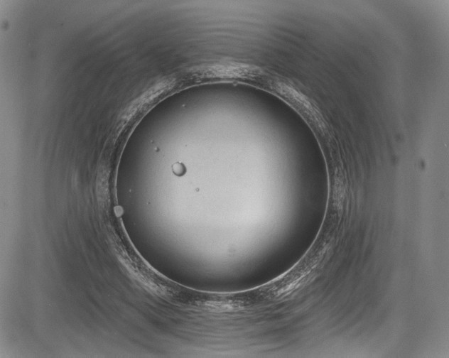 X0000084050394200702161512