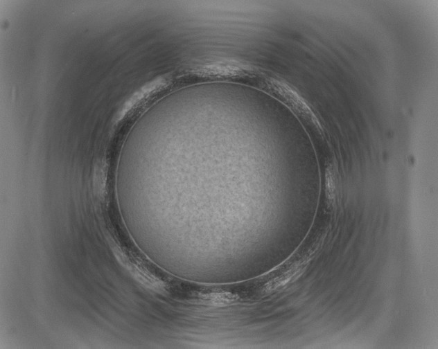 X0000084050396200702161512