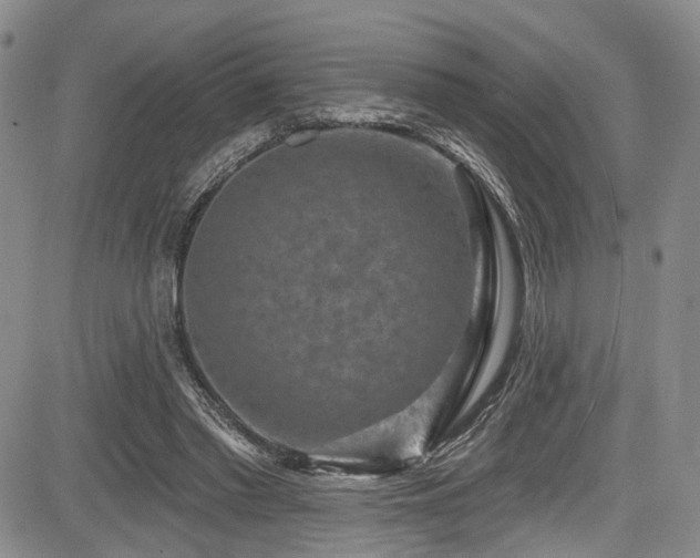 X0000084050397200702161512