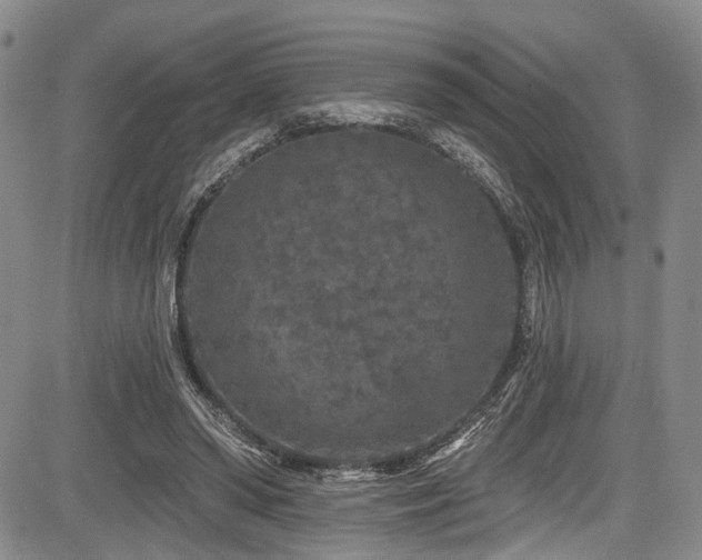 X0000084050398200702161512