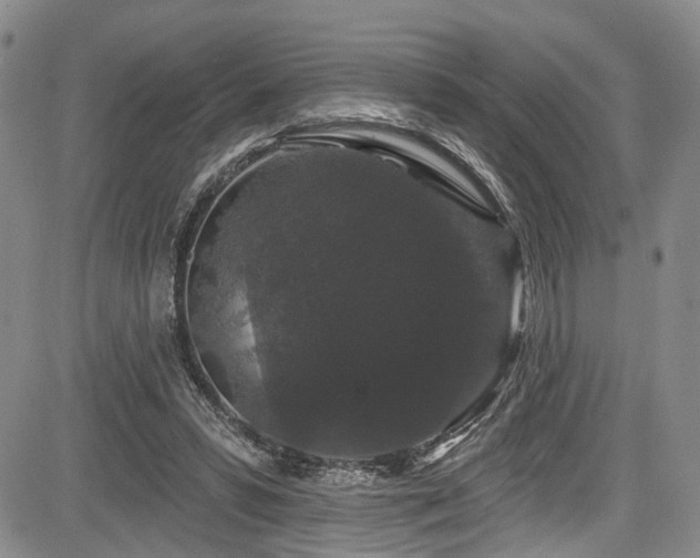 X0000084050399200702161512