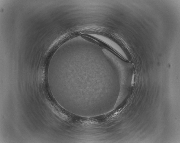 X0000084050400200702161512