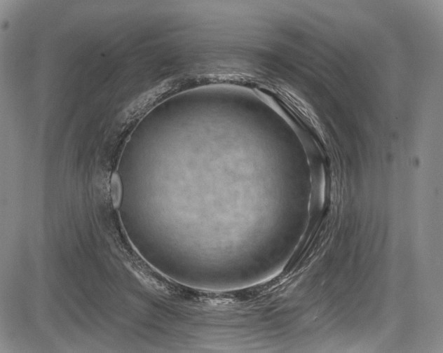 X0000084050401200702161512