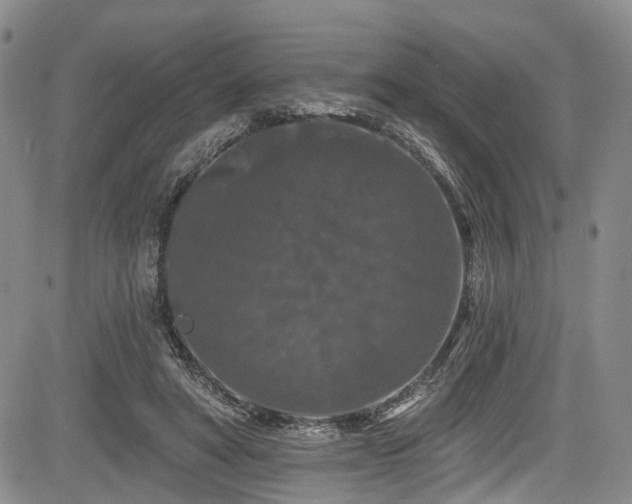 X0000084050402200702161512