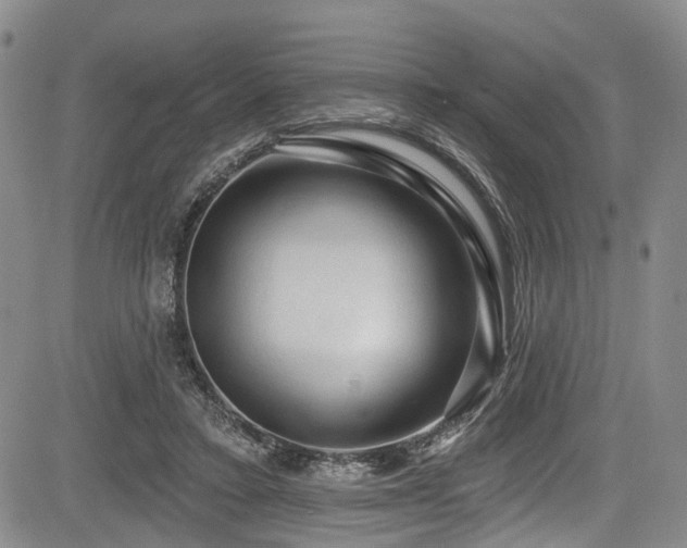 X0000084050403200702161512