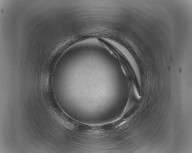 X0000084050404200702161512