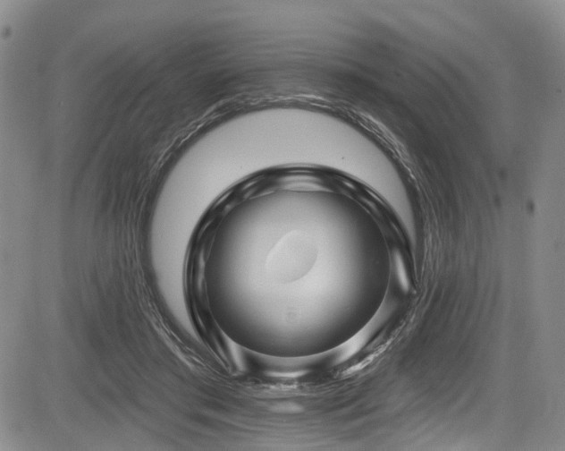 X0000084050405200702161512