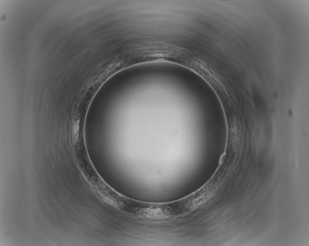 X0000084050406200702161512