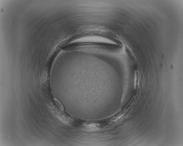 X0000084050407200702161512