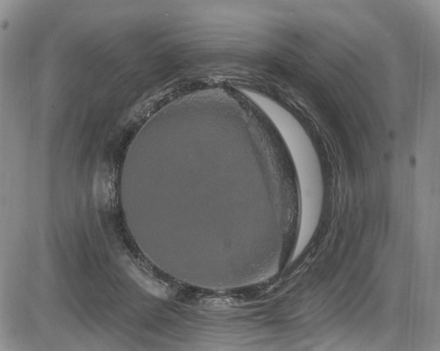 X0000084050408200702161512