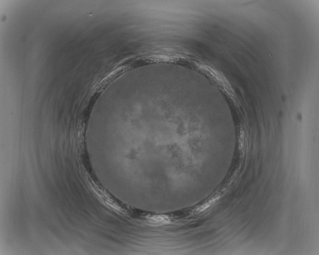 X0000084050409200702161512