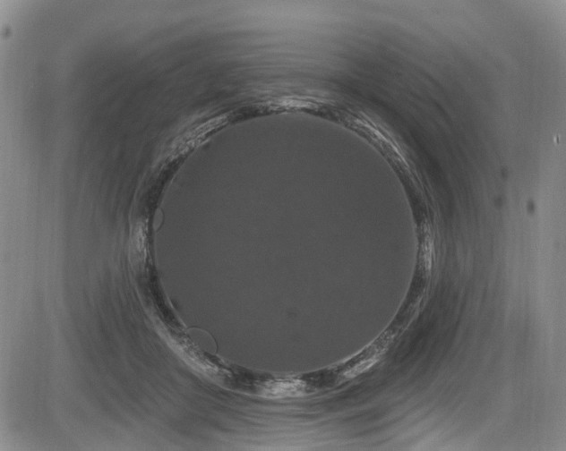 X0000084050410200702161512