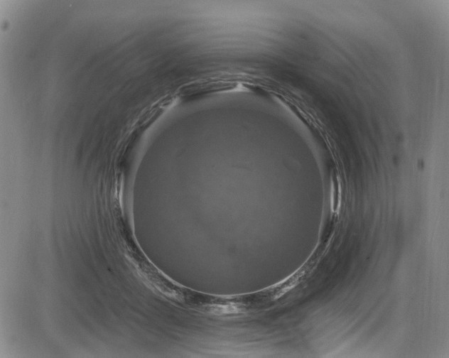 X0000084050411200702161512