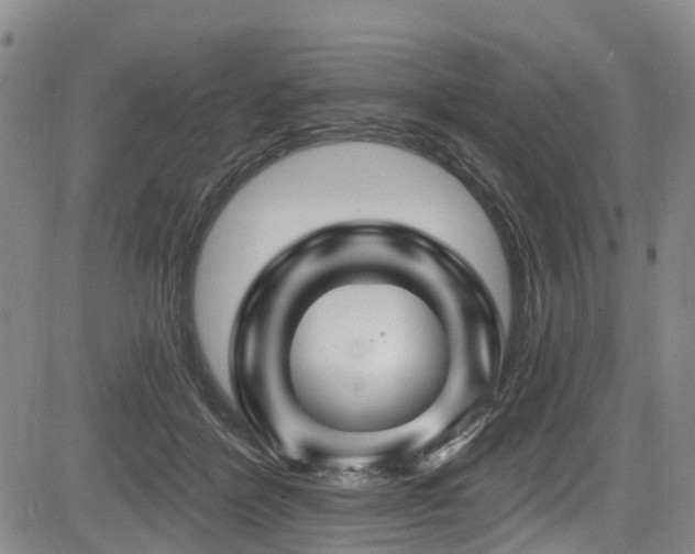 X0000084050412200702161512