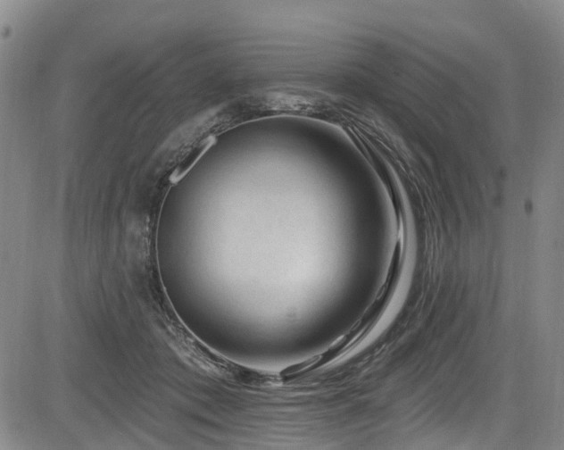 X0000084050413200702161512