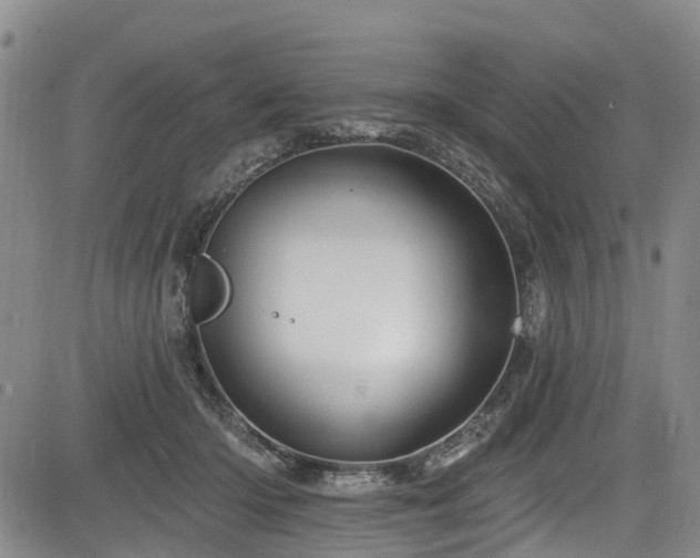 X0000084050414200702161512