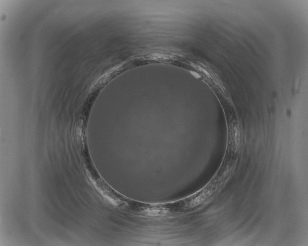 X0000084050415200702161512