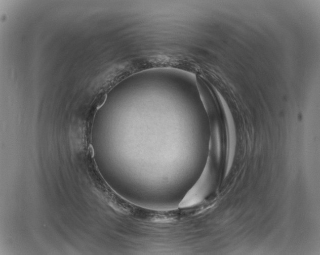 X0000084050416200702161512