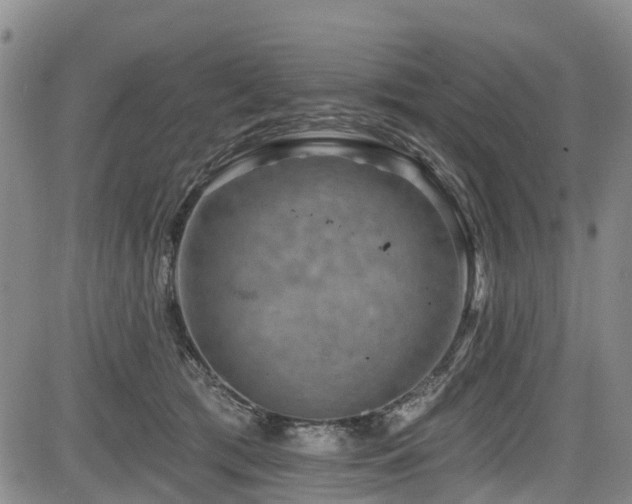 X0000084050417200702161512