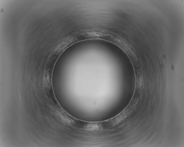 X0000084050418200702161512