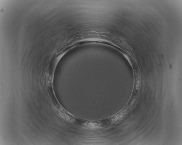 X0000084050419200702161512