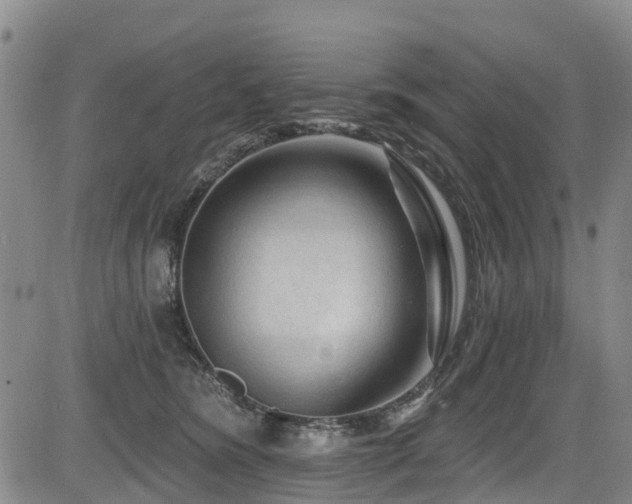 X0000084050420200702161512