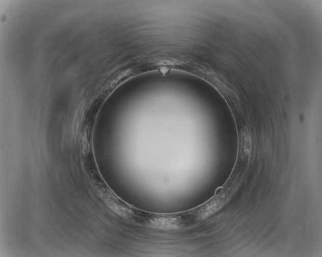 X0000084050422200702161512