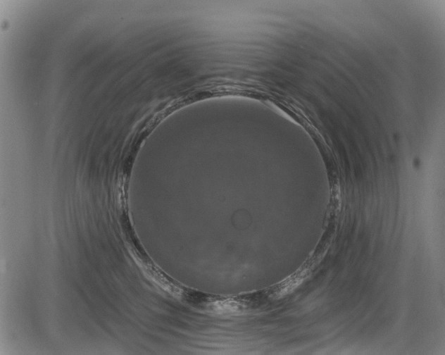 X0000084050423200702161512