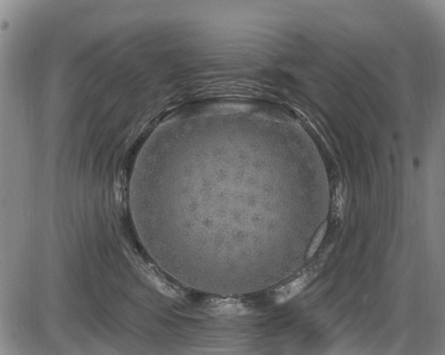 X0000084050424200702161512