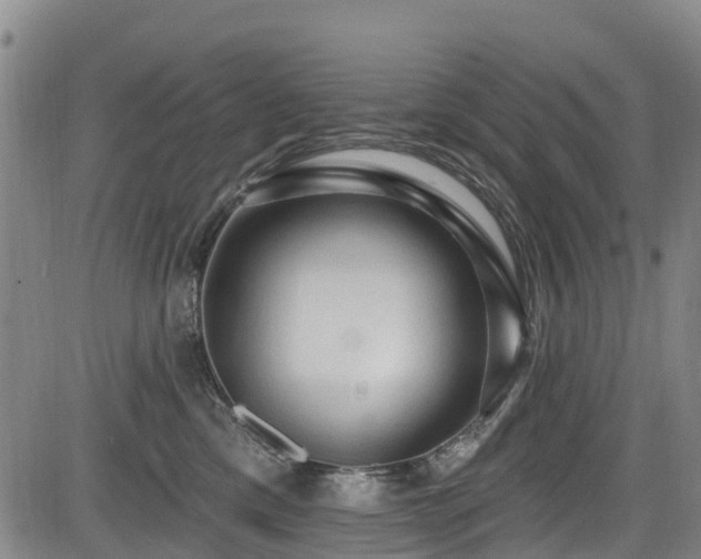 X0000084050425200702161512