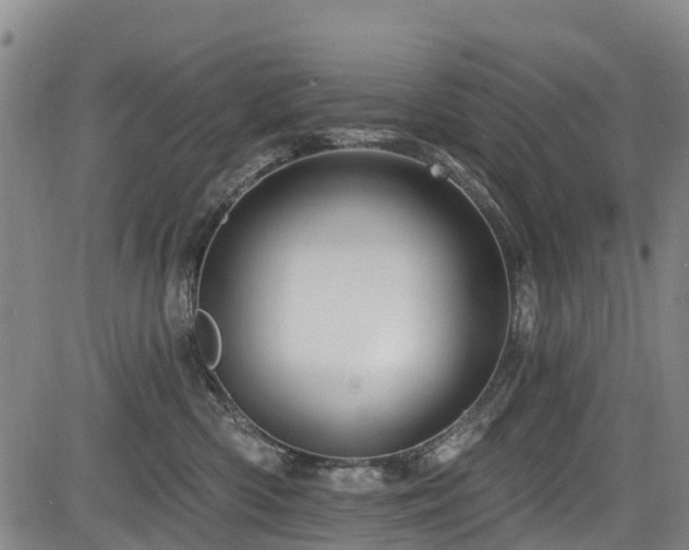 X0000084050426200702161512