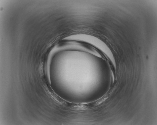 X0000084050428200702161511