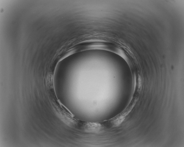 X0000084050429200702161511