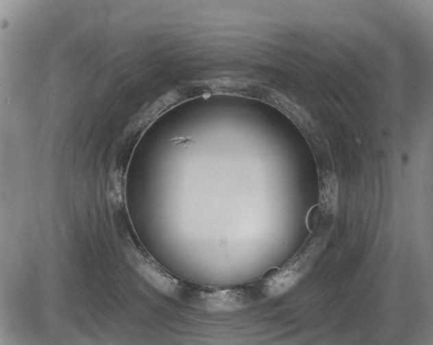 X0000084050430200702161511