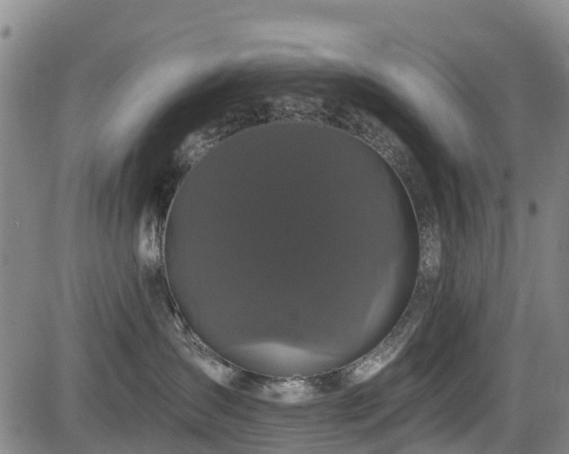 X0000084050431200702161511