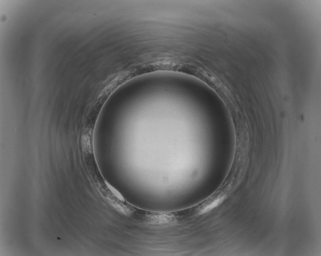 X0000084050432200702161511