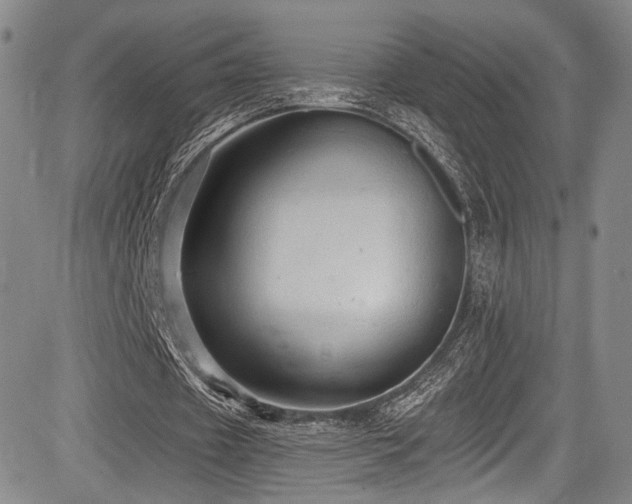 X0000084050433200702161511