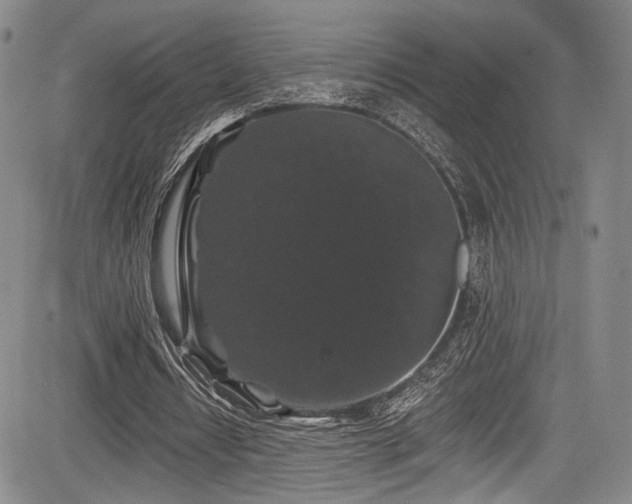 X0000084050434200702161511