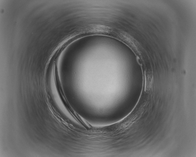 X0000084050435200702161511