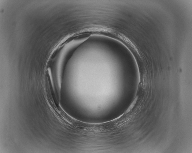 X0000084050436200702161511