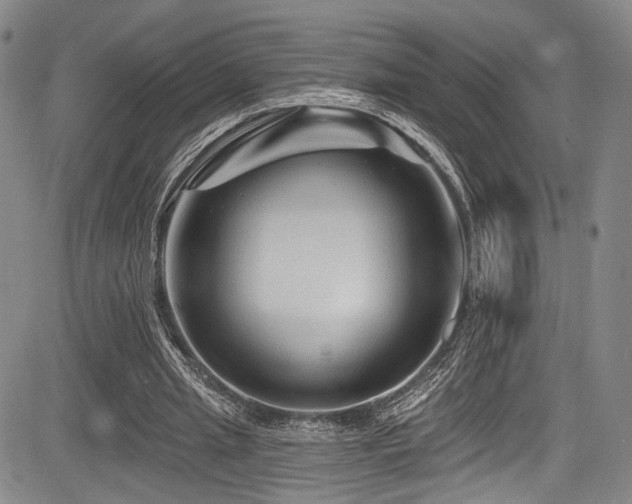 X0000084050437200702161511