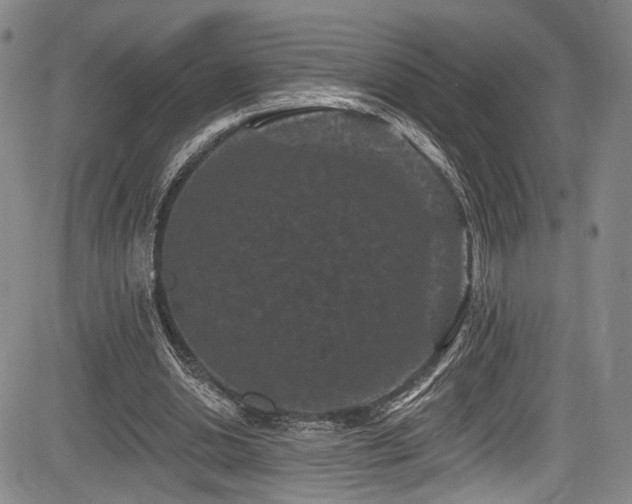 X0000084050438200702161511