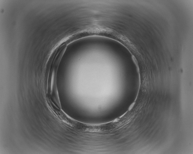 X0000084050440200702161511