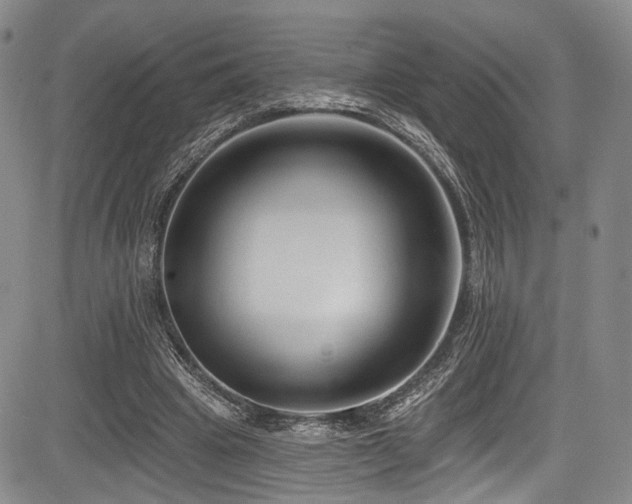 X0000084050441200702161511