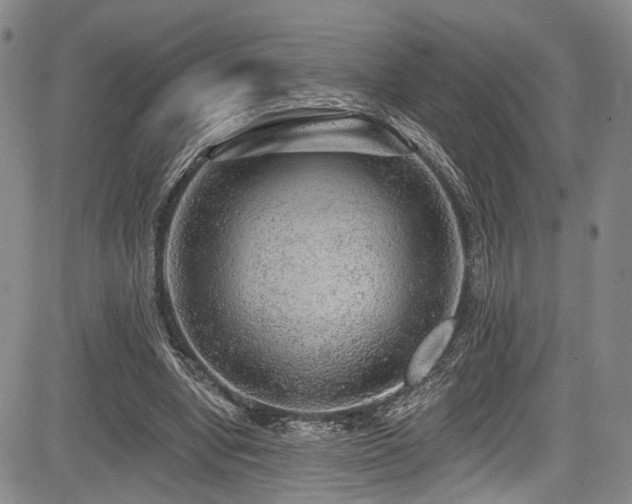 X0000084050442200702161511