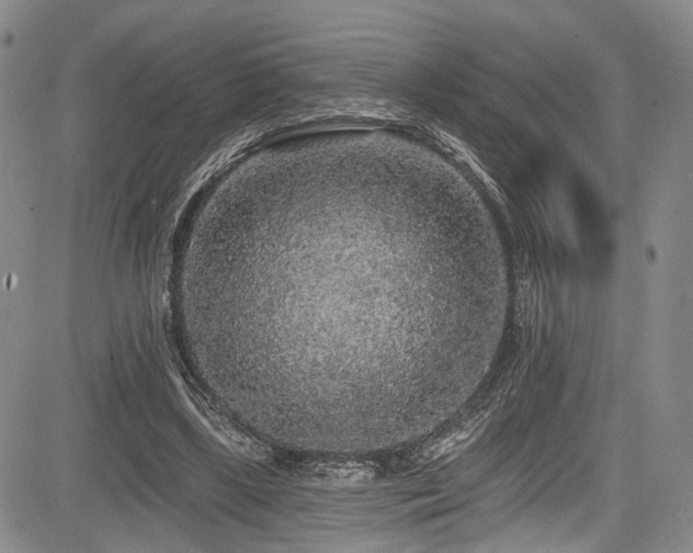 X0000084050443200702161511