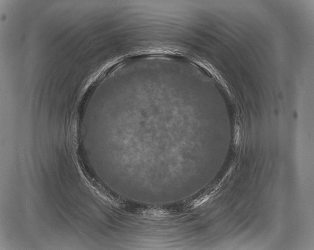 X0000084050444200702161511