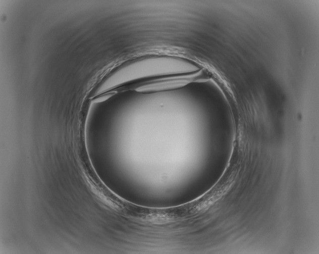 X0000084050445200702161511