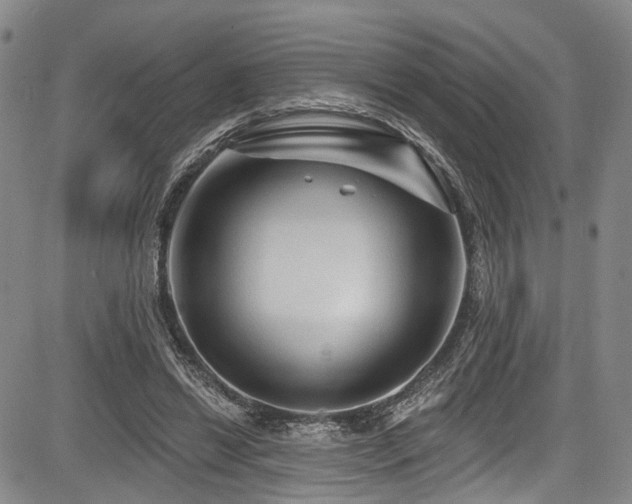 X0000084050446200702161511